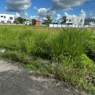 Land For Sale In Arima