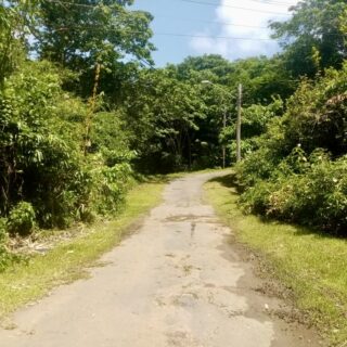 FOR SALE  RESIDENTIAL PLOT, TOCO