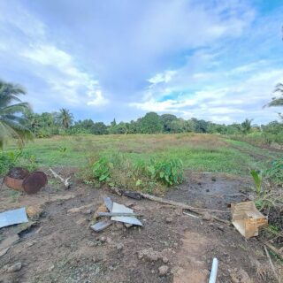 FIVE(5) ACRES FREEHOLD LAND SILVER STREAM WITH OLD TWO(2) STORY PROPERTY