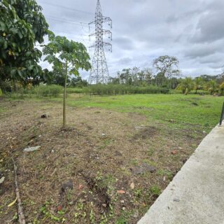 SIPARIA OLD ROAD MAIN ROAD FREEHOLD LAND FOR SALE (2.75 LOTS IN SIZE) 