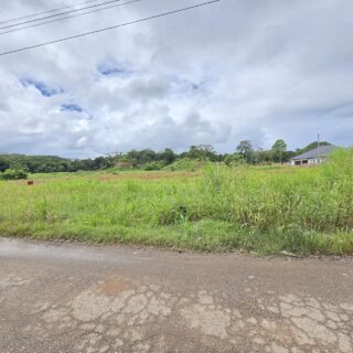 FULLY APPROVED PLOTS FOR SALE SIPARIA 