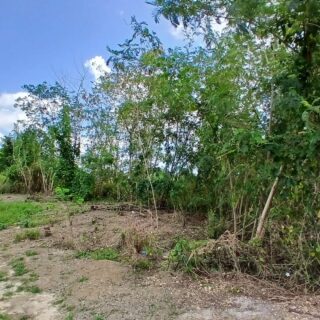 Breezy Hilltop Lot For Sale