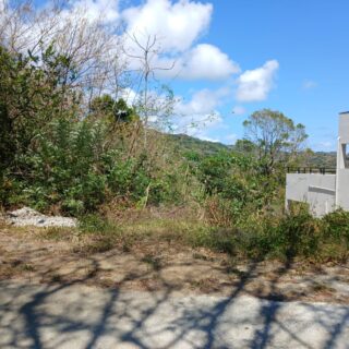 FOR SALE  RESIDENTIAL LOT, HOPE ESTATE, TOBAGO