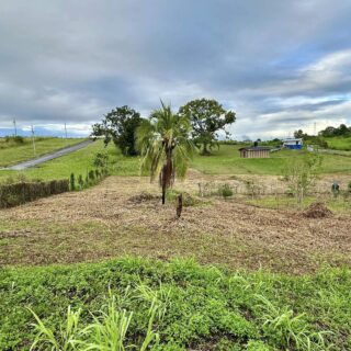 South Land FOR SALE – Philipine