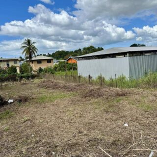 Central Land FOR SALE! – Claxton Bay