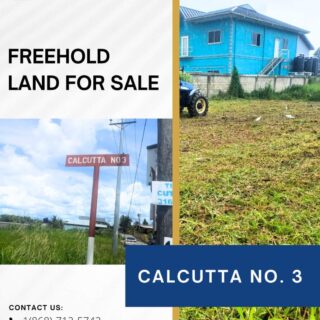 FREEHOLD LAND FOR SALE – CALCUTTA NO. 3 -$500K