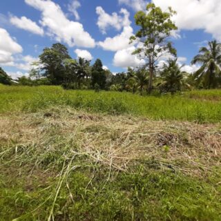 LAND FOR SALE! – Carr Road, Caparo – TTD$750,000.00