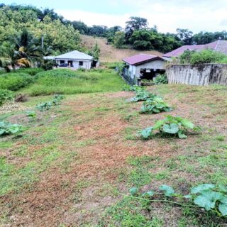 BARRACKPORE LAND FOR SALE 195K CASH BUY