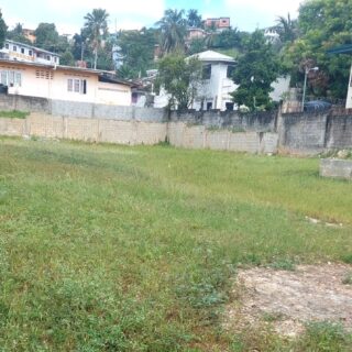 For Sale: Prime Land – Paris Boulevard, Old St. Joseph Road