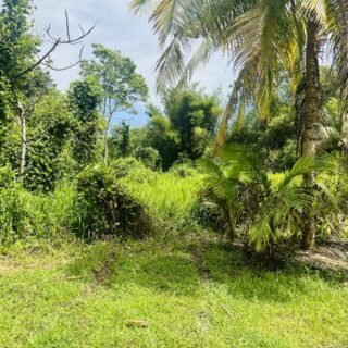 Land For Sale – Residential/Agricultural – 2 Acres – Access to Road, Electricity, Water – Sangre Grande