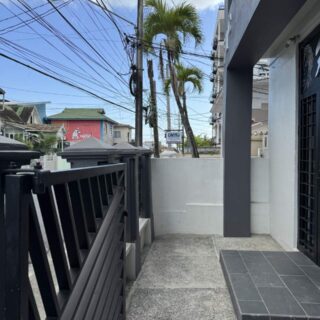 Carnival Rental Apartment, walking distance to Queens Park Savannah, Newtown, POS