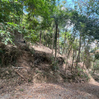 Land For Sale In Maracas Gardens