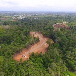 Homestead Agricultural 1 Acre Plot of Land in Penal, With Access Road & Access To Electricity, With All Final Approvals Included