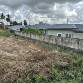 Chaguanas Land for Sale