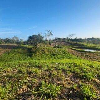 🌅 Massive Countryside Parcel – Build, Invest, Thrive! 🌅