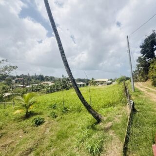 Macaulay Road, Claxton Bay 19,030 sqft freehold land just off highway