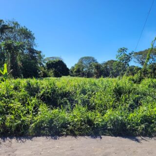 Mayaro Land for Sale – 10,000sqft of approved land. Quiet area close to all amenities and beaches.