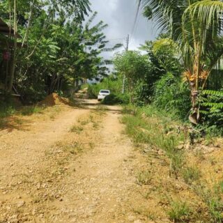 Land for Sale – Approved homestead plots for sale Rio Claro.