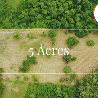 Aripero 5-Acre Development Opportunity – Countryside, Ideal For Residential Development, Outline Approvals