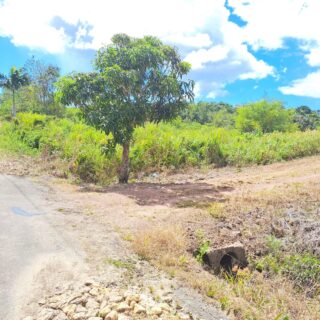 9.1 ACRES FREEHOLD LAND FOR SALE MULCHAN TRACE PENAL ROCK ROAD