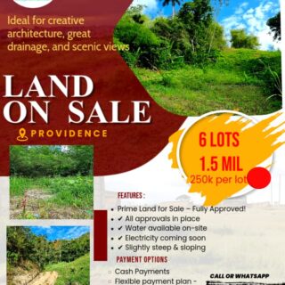 🌿 Prime Land for Sale in Providence! 🌿