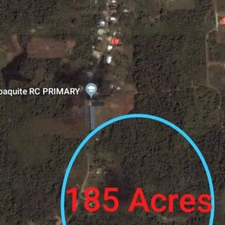 Tabaquite 185 Acres Freehold land