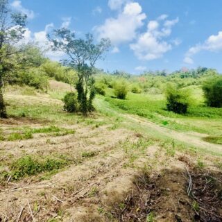 MAMORAL, Chaguanas 10 acres Freehold land