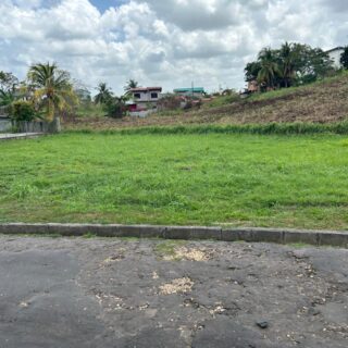 Land for Sale – Mystery Tern, Paria Gardens Ariepo TT$850,000