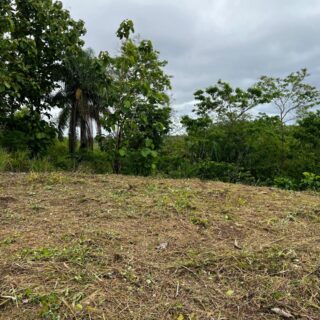 Tacarigua Land for Sale