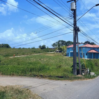 Land For Sale In Cunupia