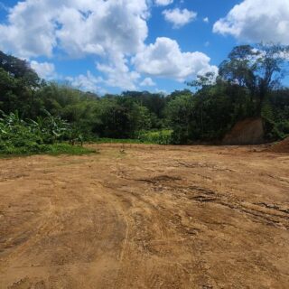 📍 ✨Multiple Parcels of land for sale – Coal Mine, Sangre Grande✨