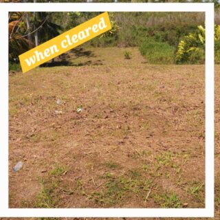 NEW GRANT LAND..GREAT SIZE & PRICE
