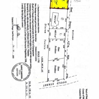 Mayaro Leisureville Road land.