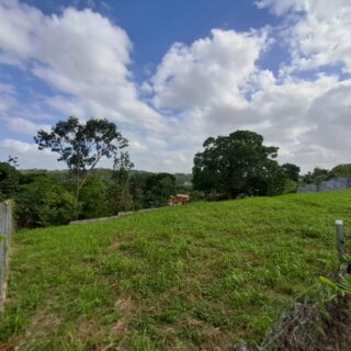Residential Lots for Sale – 9,826 sq. ft. | Claxton Bay