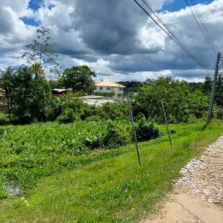 Freehold Land for Sale – Las Lomas (10,662 sq. ft.)