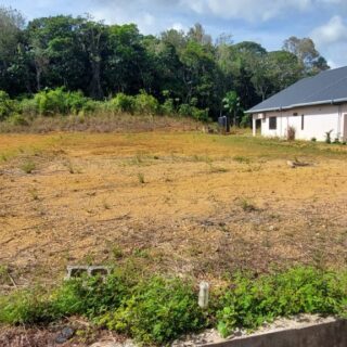 Welcome Home to Skyview – Land Available Now