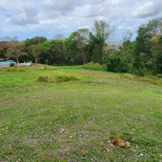 Land For Sale In Gran Couva