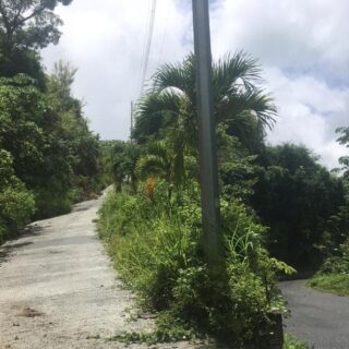 Tobago Land for Sale
