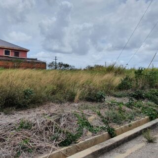 Timberland Park Land