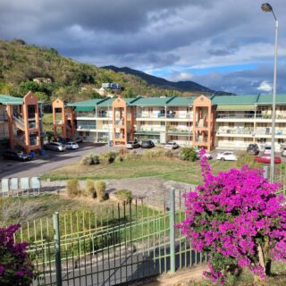 Mountain View Terrace