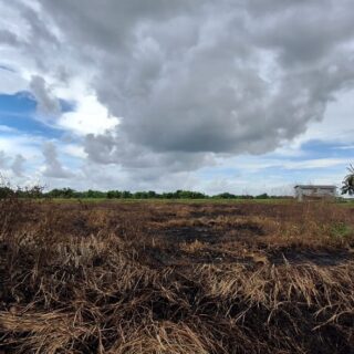 Cunupia – 1 Acre Parcel for Sale – $750,000