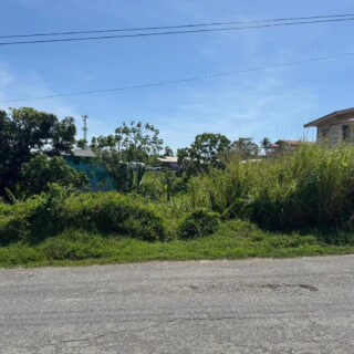 Land For Sale In Cedros