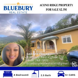 Acono Ridge, Maracas Valley Property for Sale $2.3M