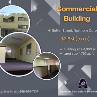 Commercial Building