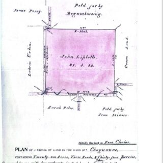 Land For Sale in Mamoral!