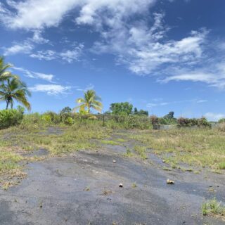Freehold Land For Sale In Mamoral!
