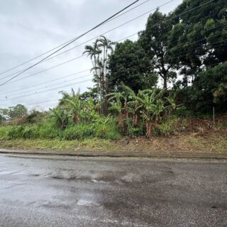Preysal Land for Sale