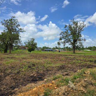 Land for Sale – Cor. Mc Lean Trace and Chacon St, Nancoo Village, Las Lomas TT$414,000