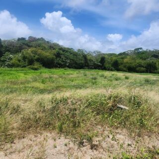 📍 Fully Approved Lot in Mayaro for sale✨