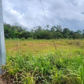 📍 ✨1 Acre Agricultural/Residential Land for Sale✨